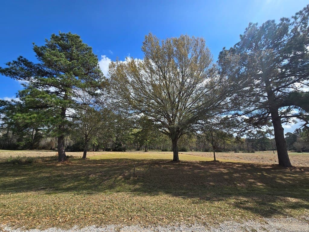 0.2 acres in Texas County gallery image 4