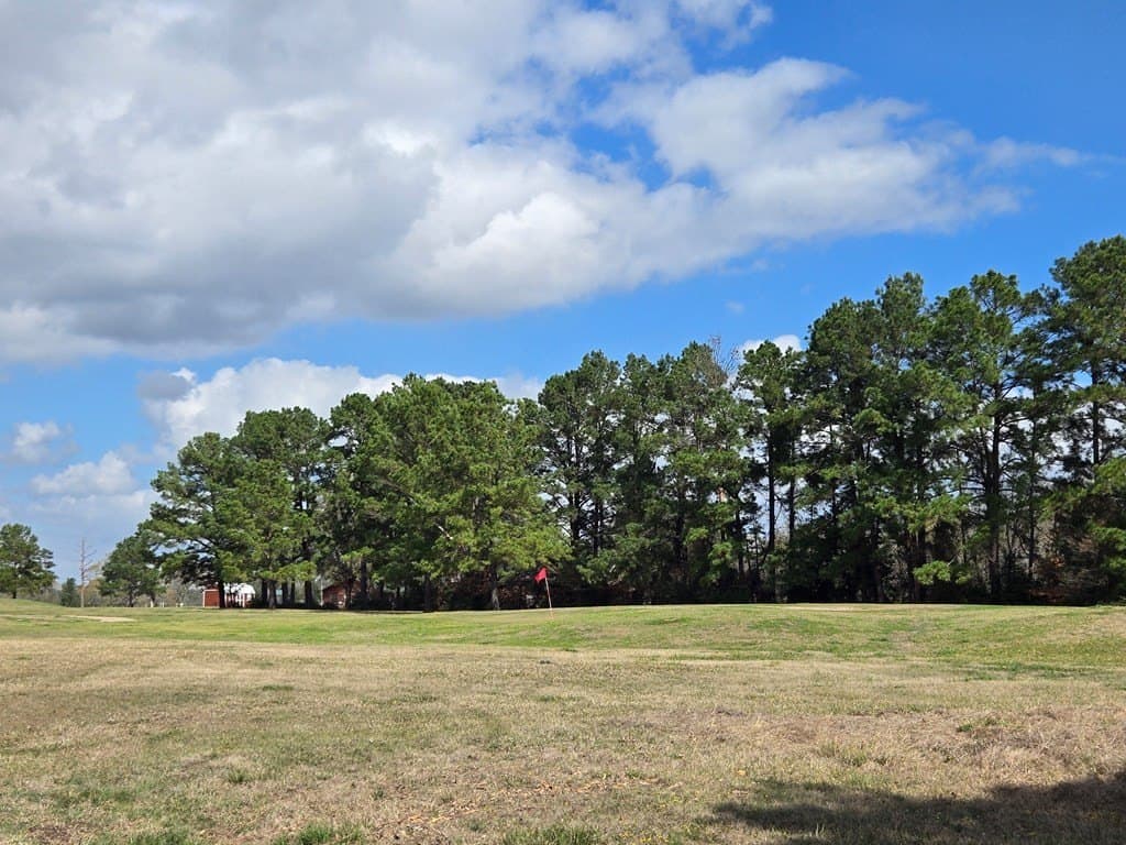 0.2 acres in Texas County featured view