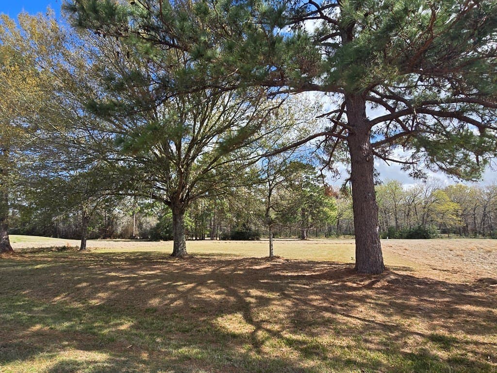 0.2 acres in Texas County gallery image 2