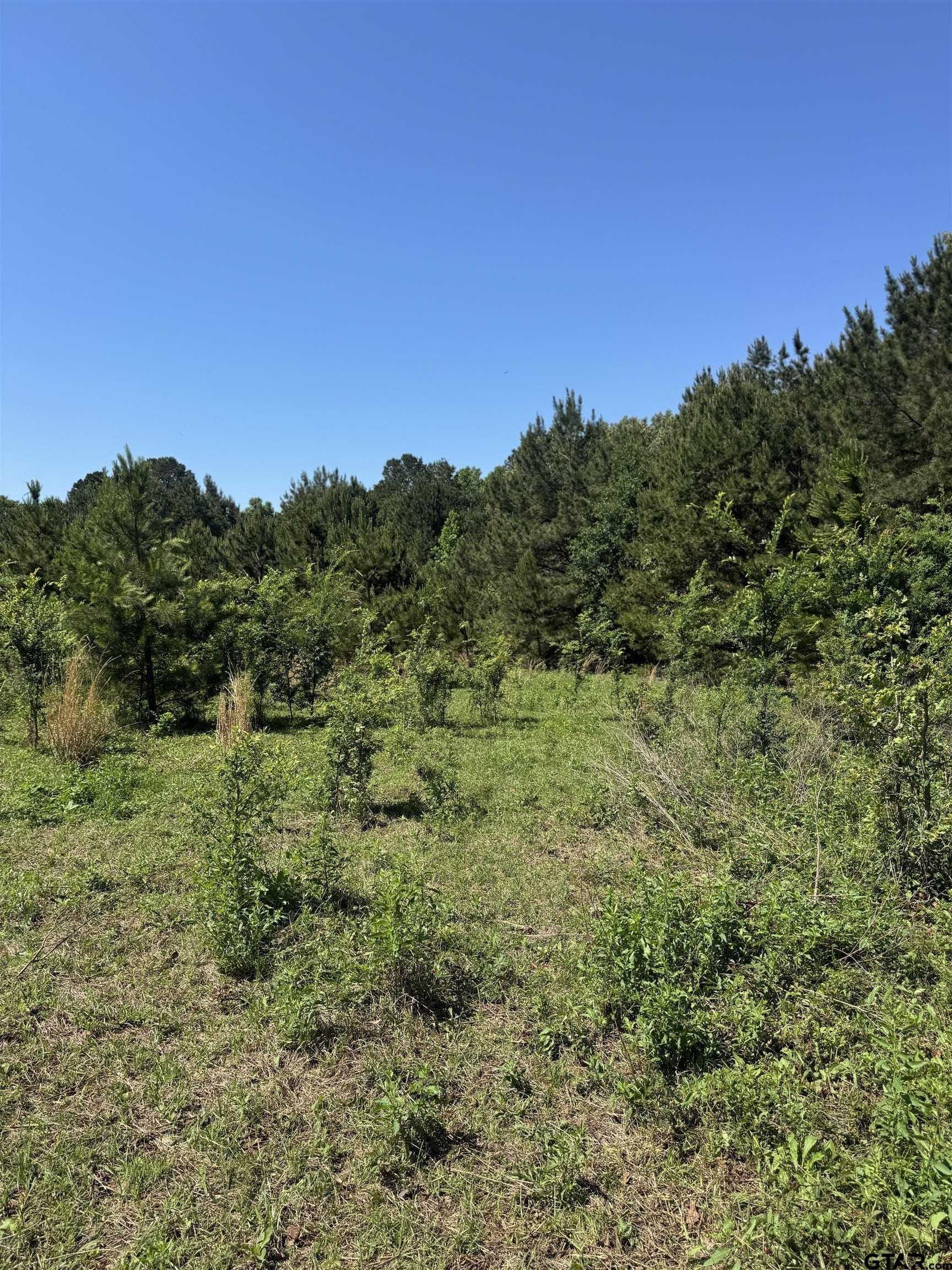 10.5 acres in Cherokee County featured view