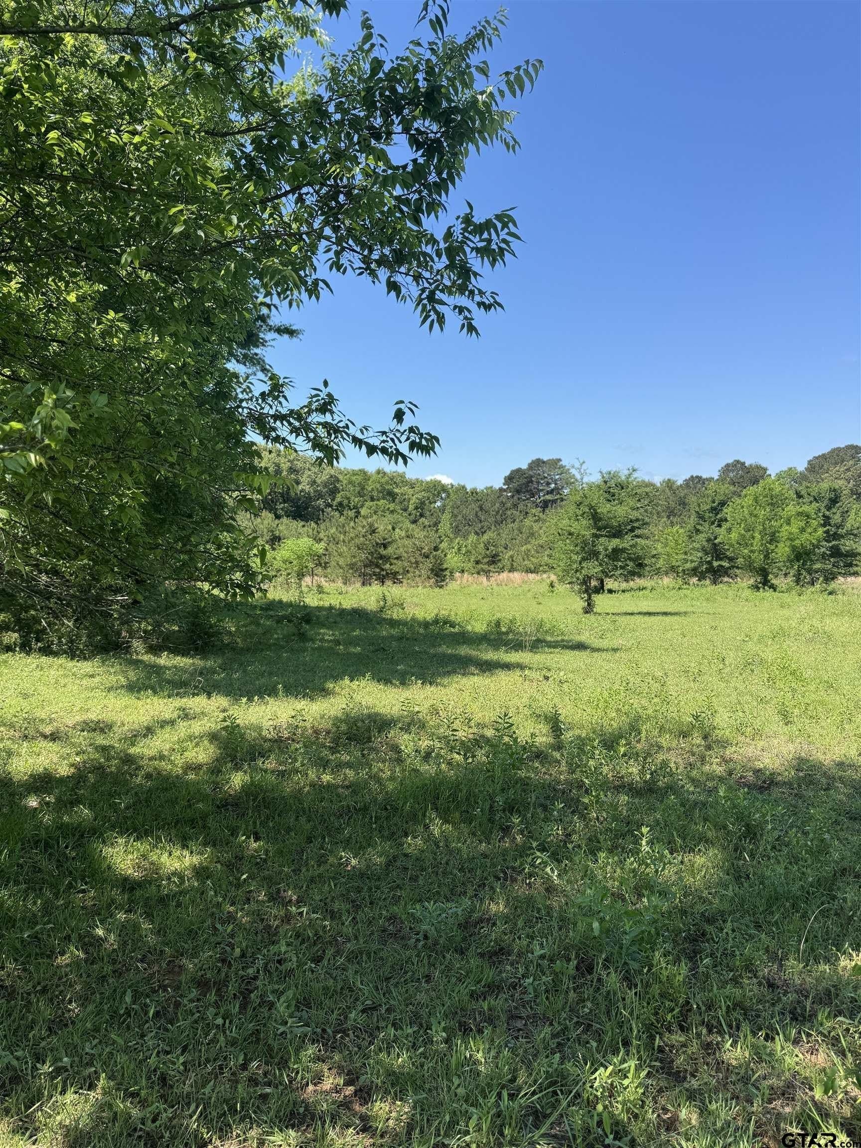 10.5 acres in Cherokee County gallery image 3
