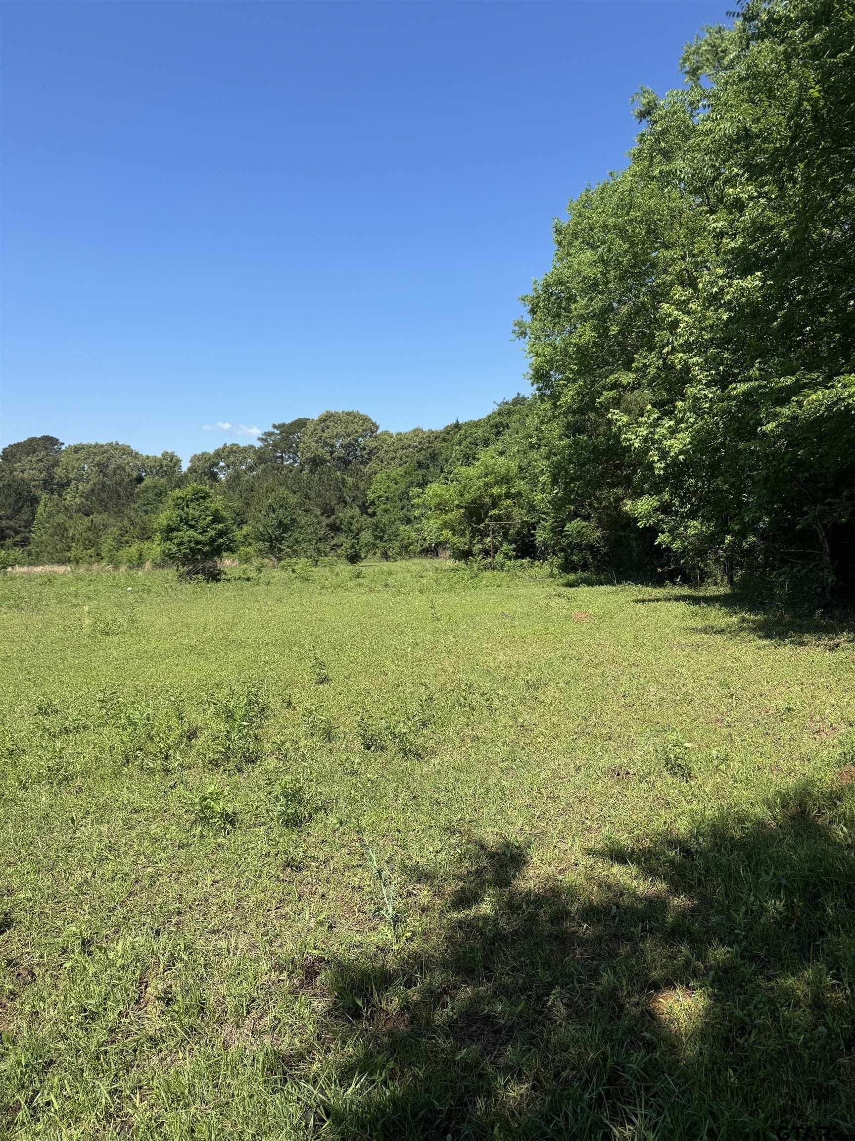 10.5 acres in Cherokee County gallery image 2