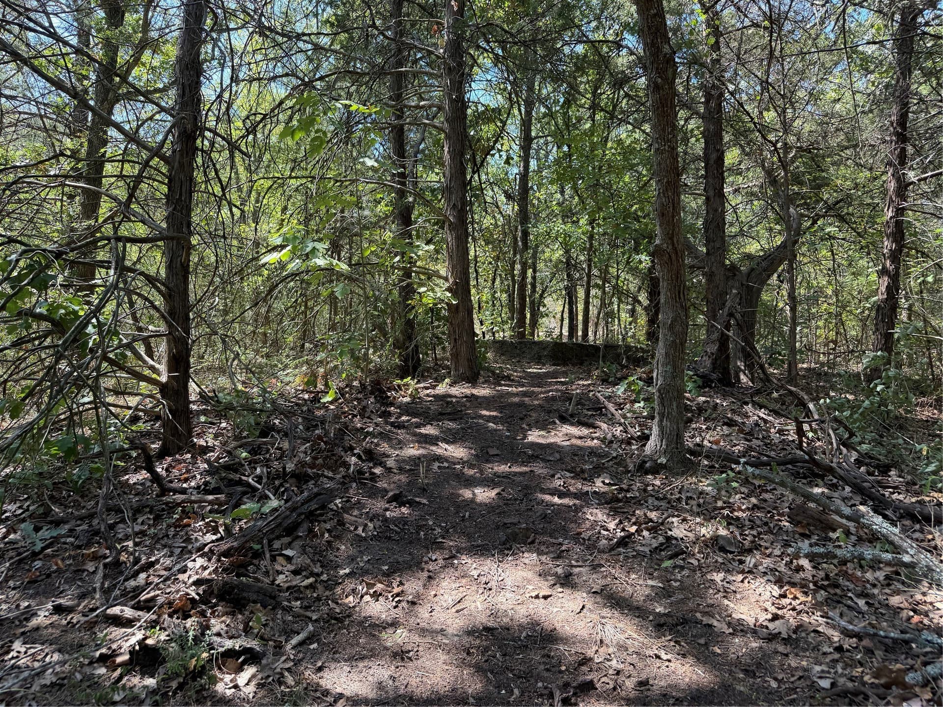 1.54 acres in Grayson County - photo 14