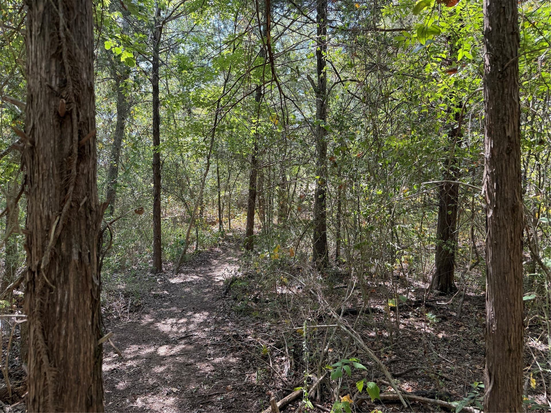 1.54 acres in Grayson County - photo 13