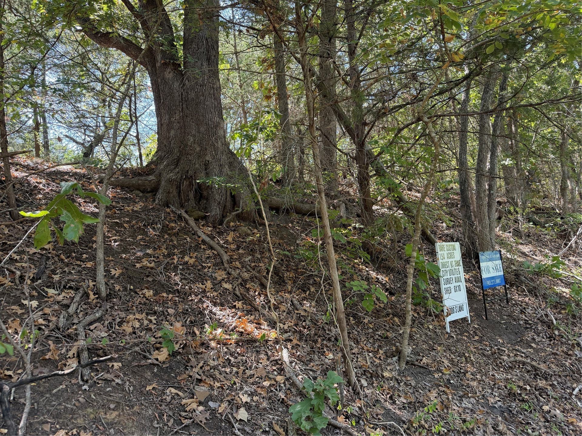 1.54 acres in Grayson County - photo 17