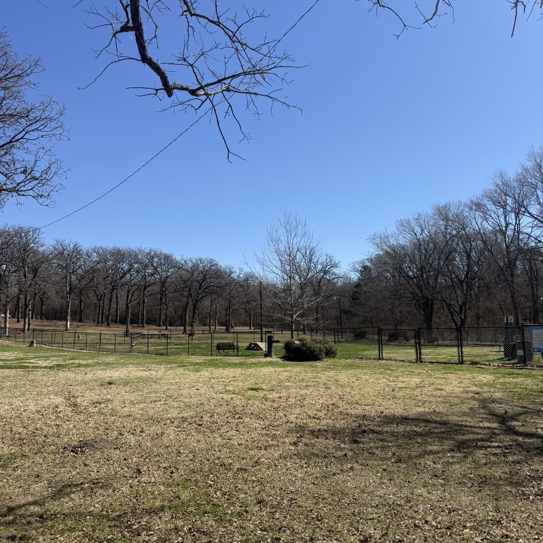 1.54 acres in Grayson County - photo 39