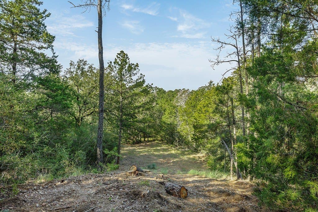 20.28 acres in Fayette County - photo 21