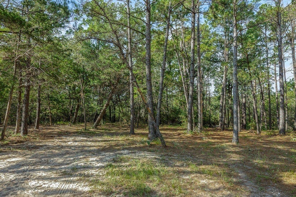 20.28 acres in Fayette County - photo 22