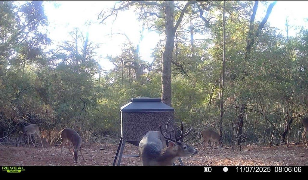 20.28 acres in Fayette County - photo 25