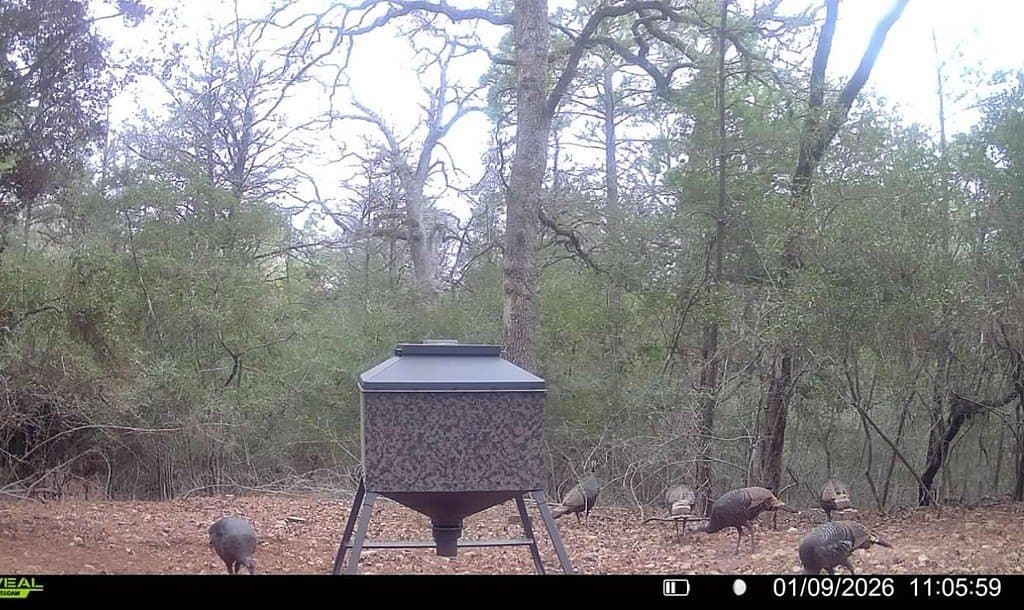 20.28 acres in Fayette County - photo 26