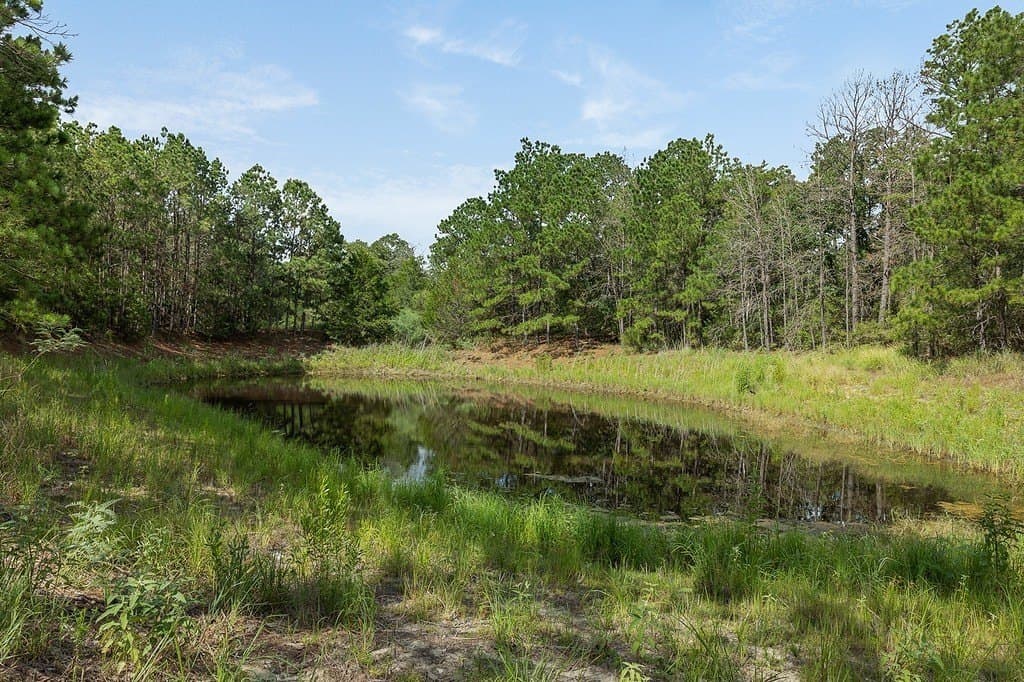 20.28 acres in Fayette County - photo 20