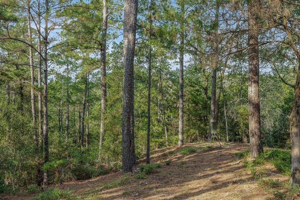 20.28 acres in Fayette County - photo 18