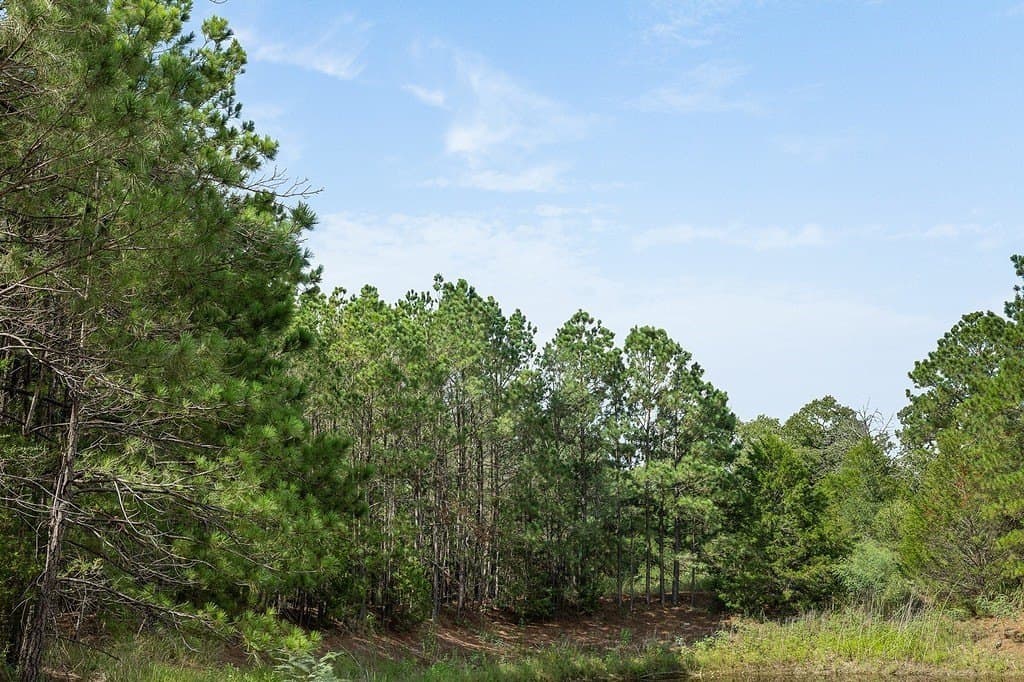 20.28 acres in Fayette County - photo 19