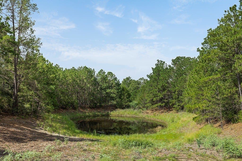 20.28 acres in Fayette County - photo 23