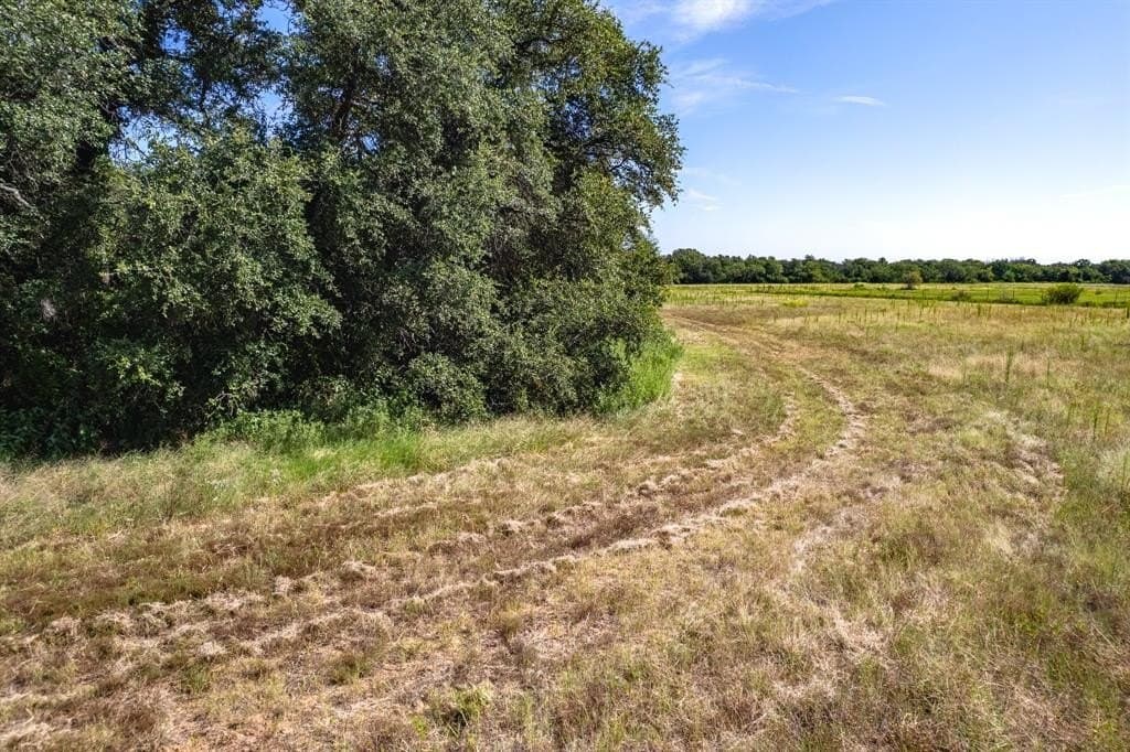 64.02 acres in Comanche County gallery image 4
