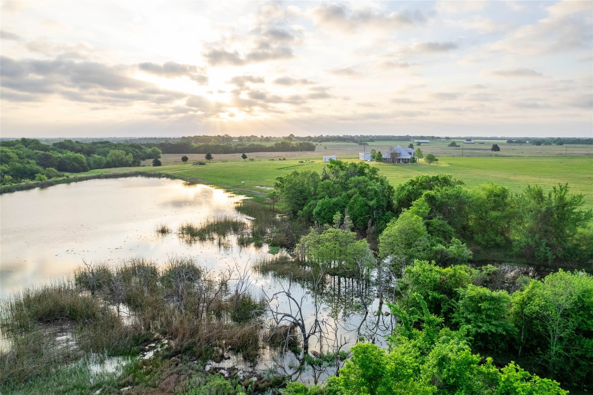 89.8 acres in Lamar County gallery image 3