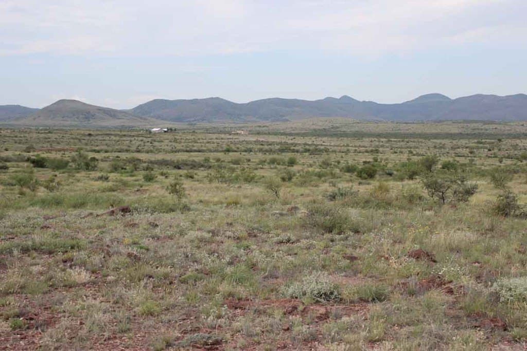 24.7 acres in Brewster County - photo 8