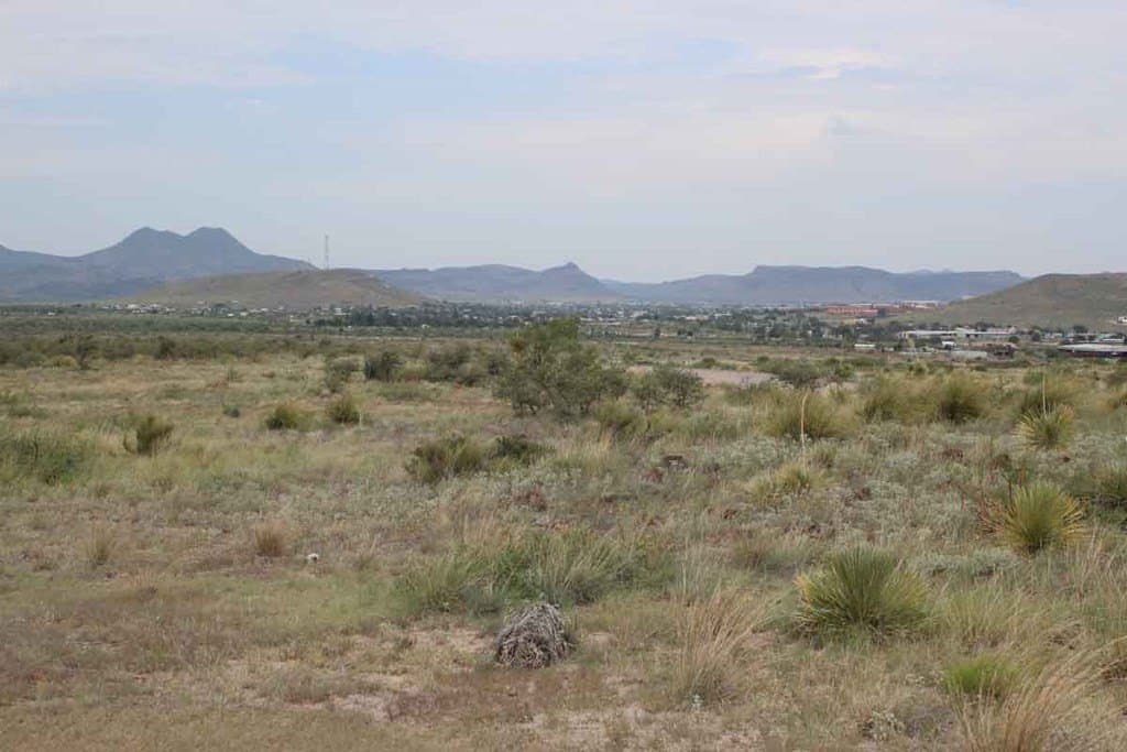 24.7 acres in Brewster County - photo 6