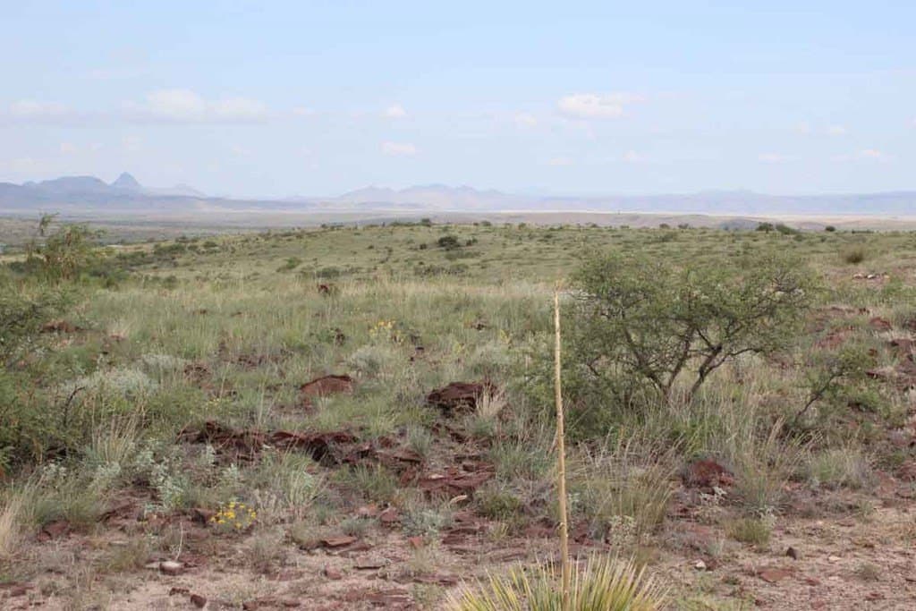 24.7 acres in Brewster County - photo 7