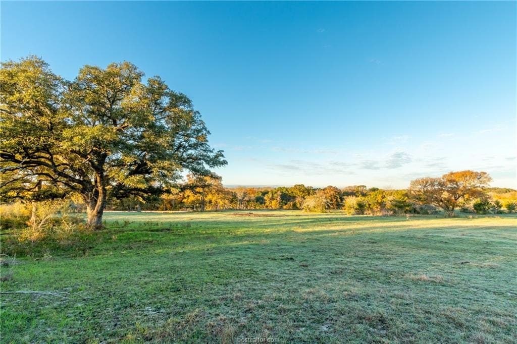 46 acres in Washington County - photo 14