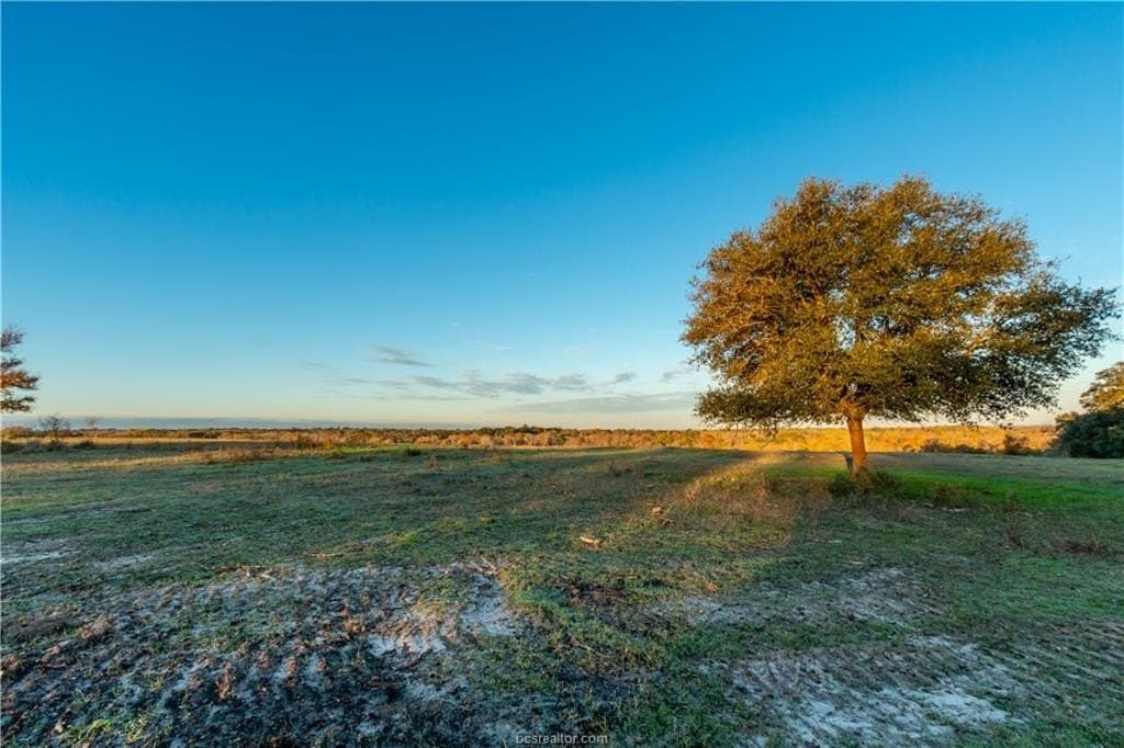 46 acres in Washington County - photo 9