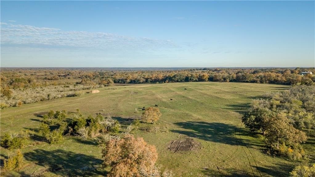 46 acres in Washington County - photo 2