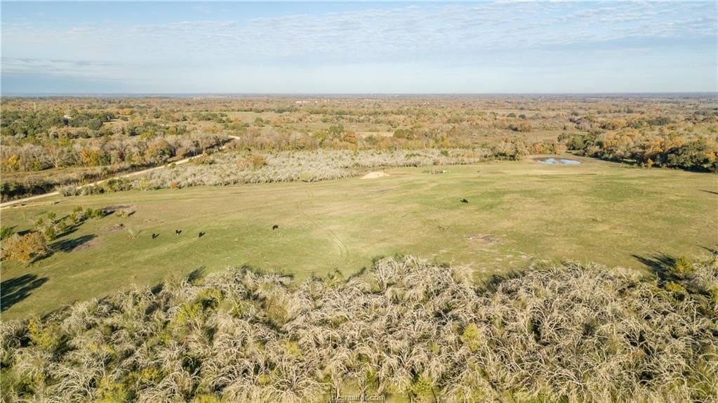 46 acres in Washington County - photo 3