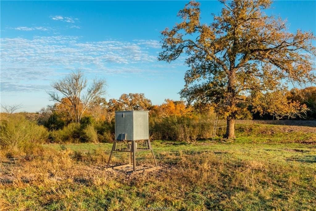 46 acres in Washington County - photo 16