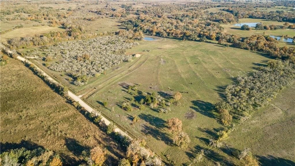 46 acres in Washington County - photo 6