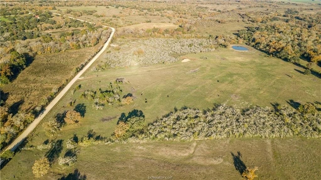 46 acres in Washington County - photo 7