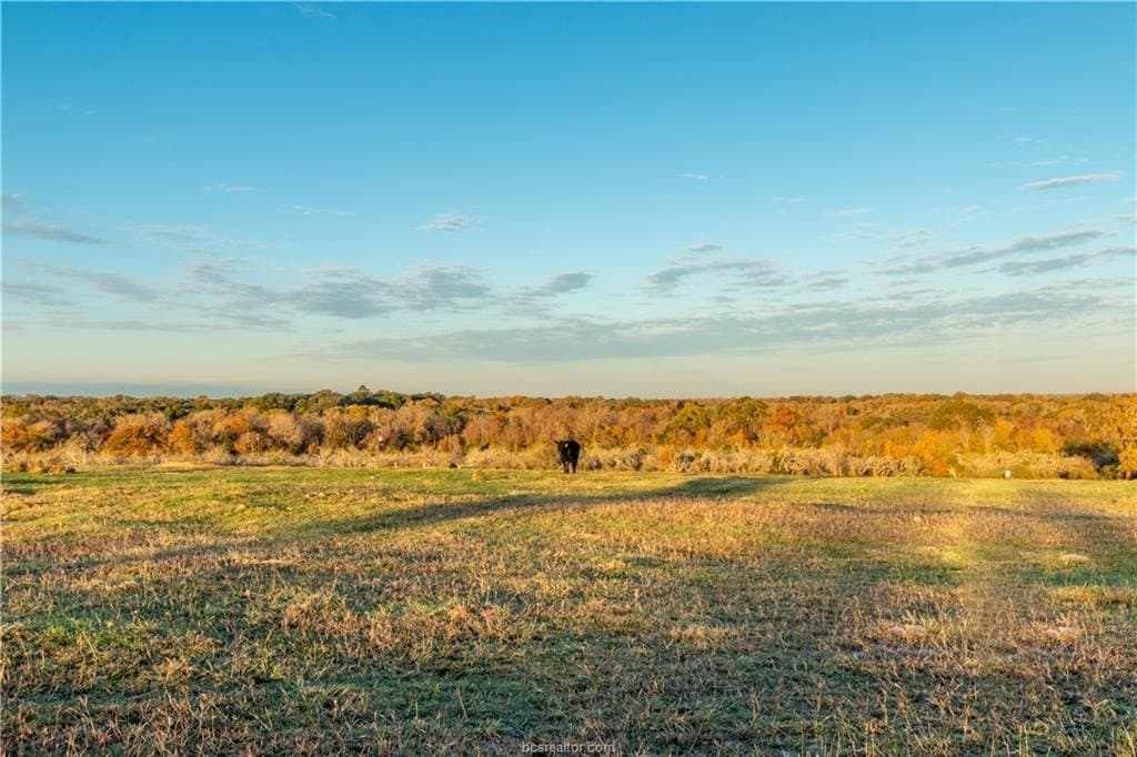 46 acres in Washington County - photo 13