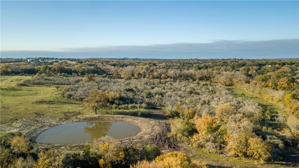 46 acres in Washington County - photo 5