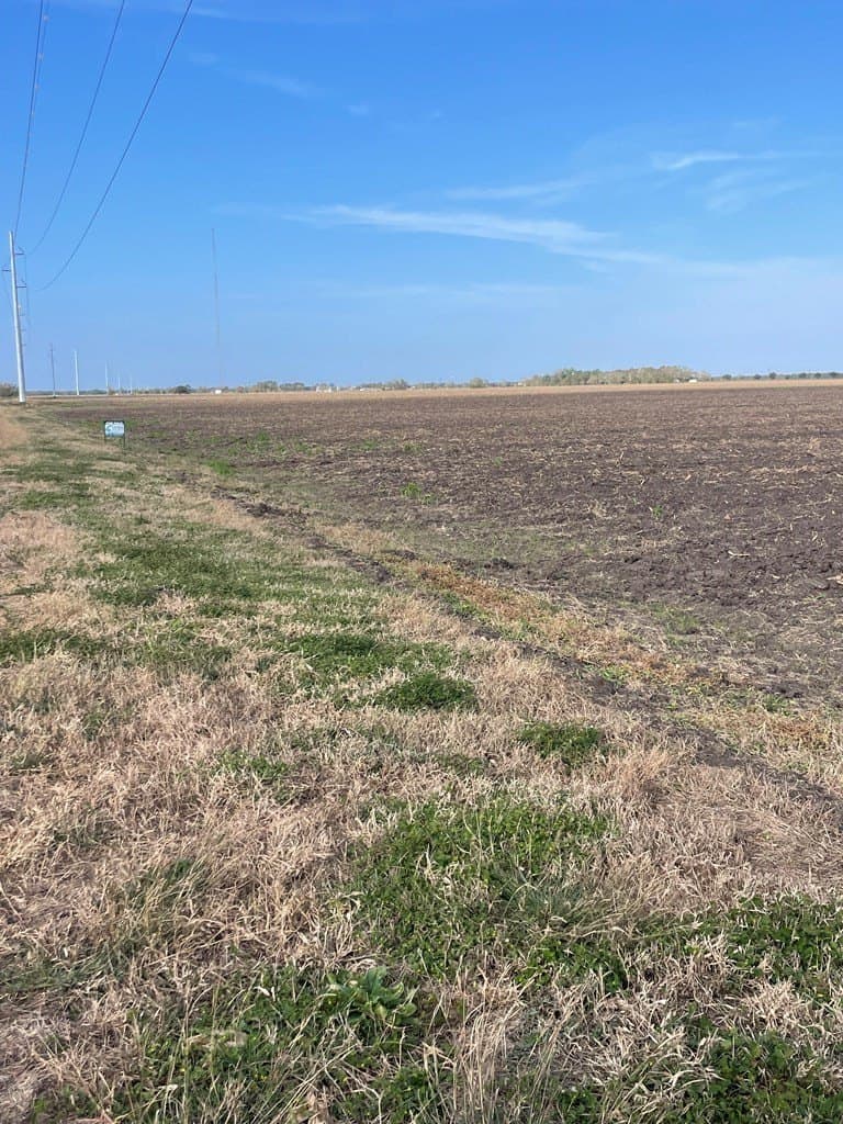 21.6 acres in Texas County gallery image 3