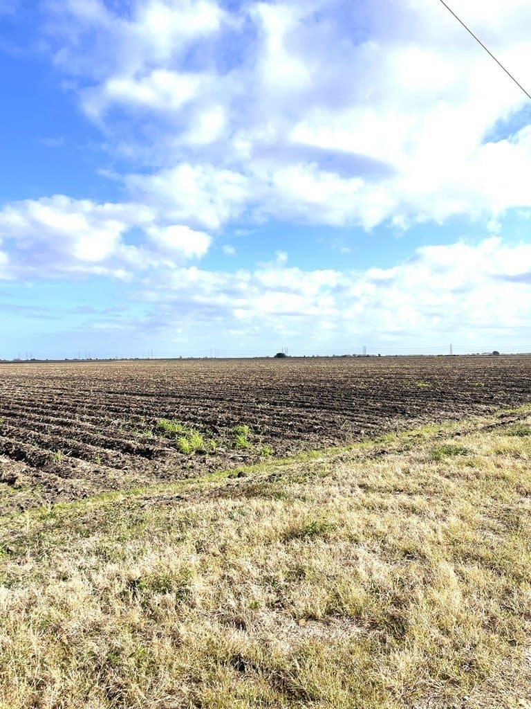 21.6 acres in Texas County gallery image 2