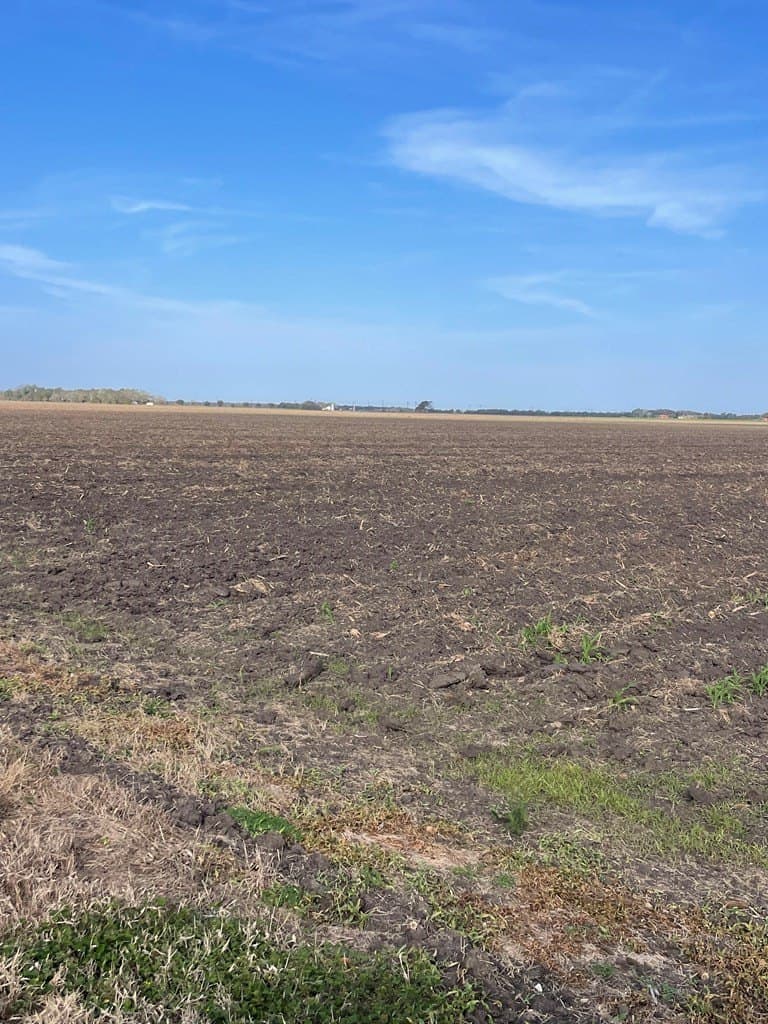 21.6 acres in Texas County gallery image 4
