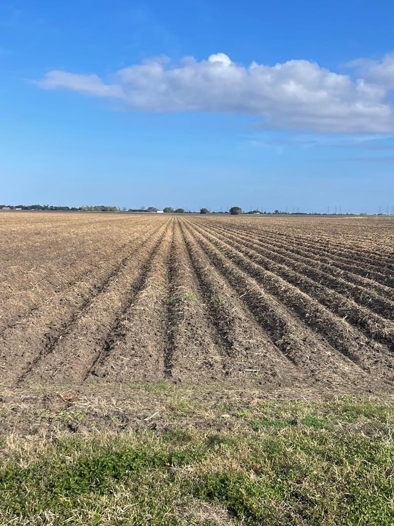 21.6 acres in Texas County
