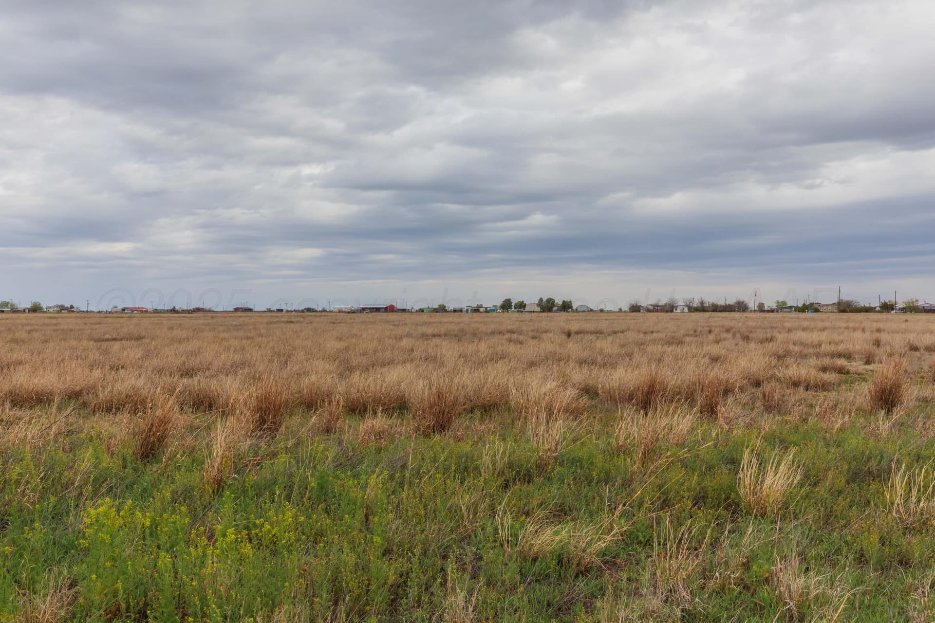 5.1 acres in Randall County gallery image 4
