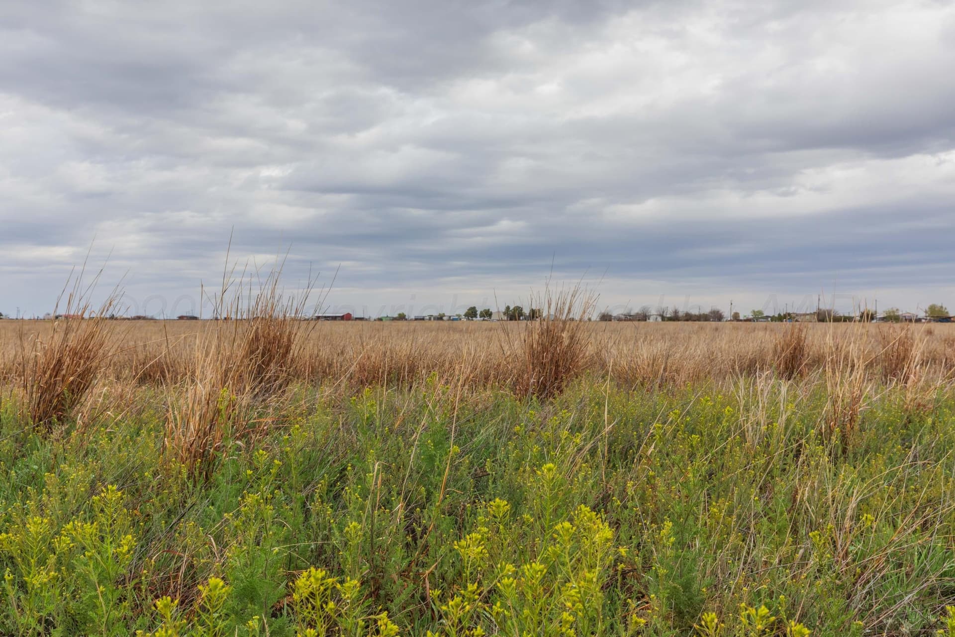 5.1 acres in Randall County featured view