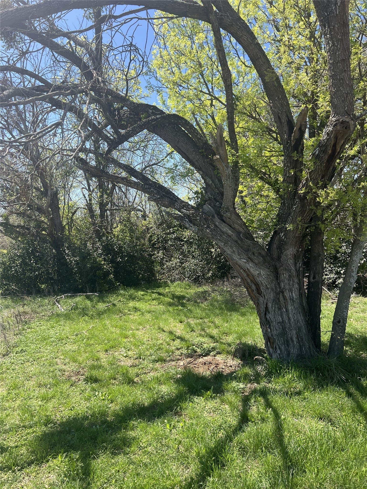 0.76 acres in Brown County - photo 8