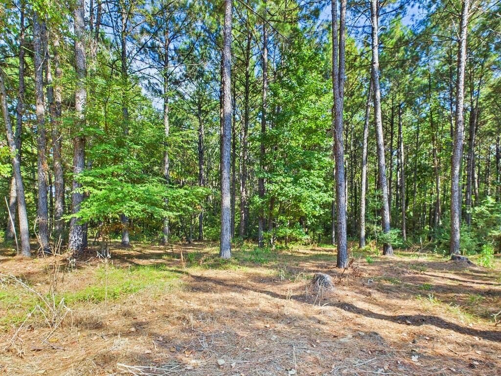 40.22 acres in Texas County - photo 57