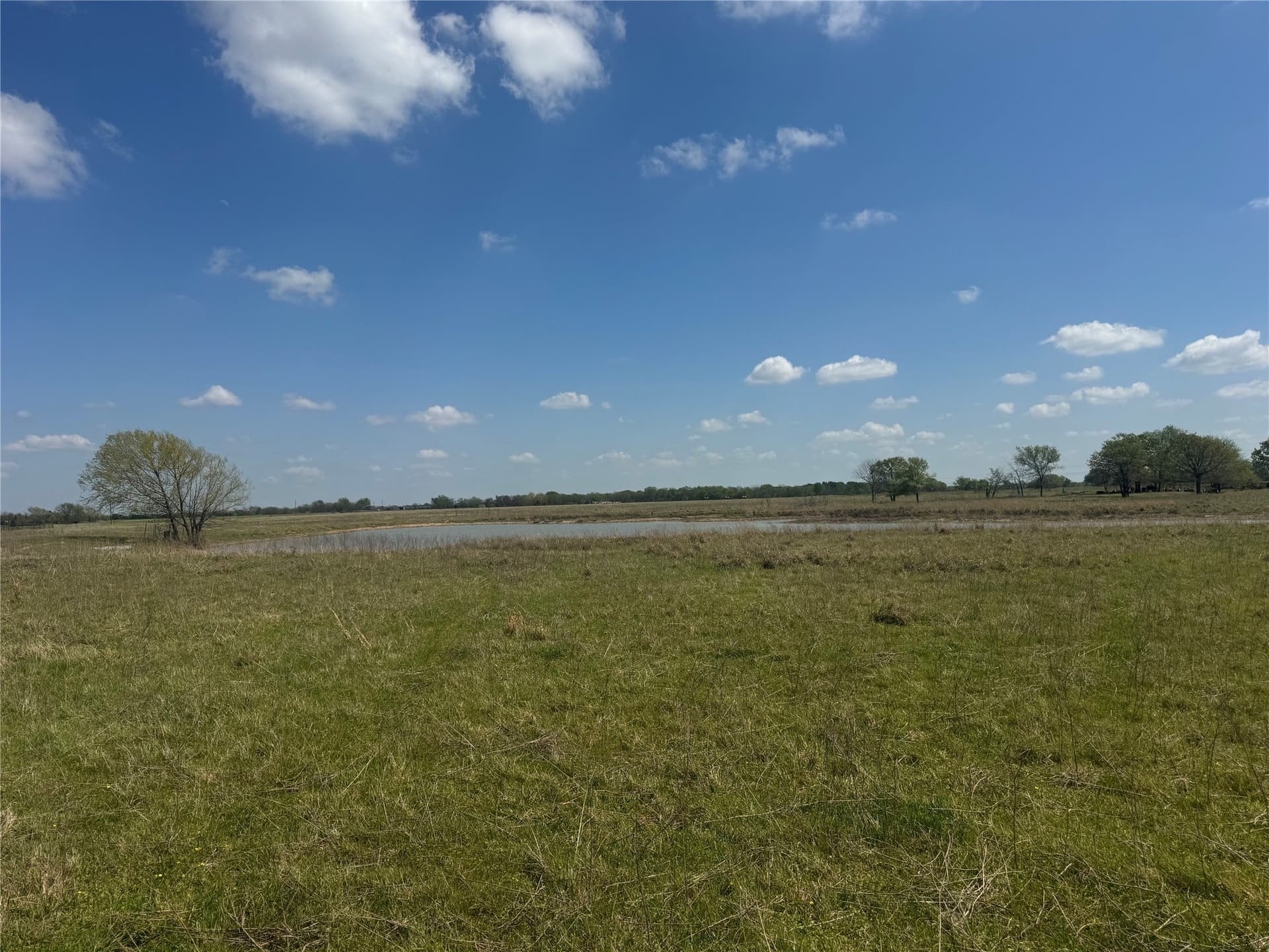 107.79 acres in Franklin (TX) County - photo 28