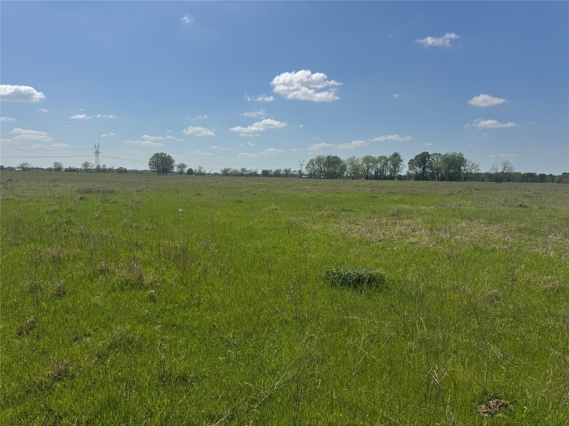 107.79 acres in Franklin (TX) County - photo 25