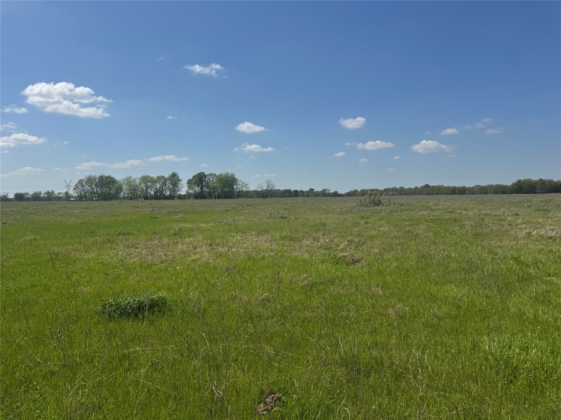 107.79 acres in Franklin (TX) County - photo 26