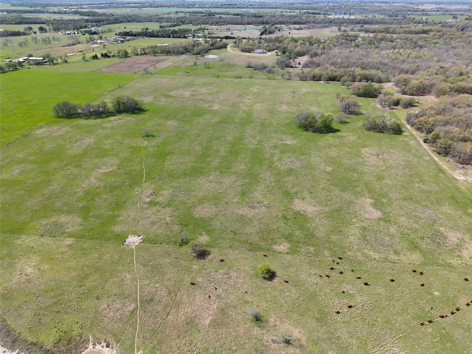 107.79 acres in Franklin (TX) County - photo 11