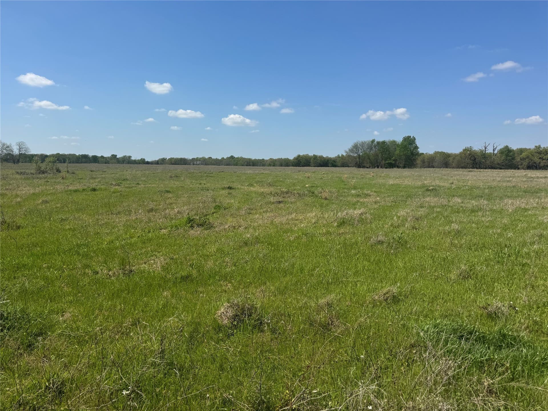107.79 acres in Franklin (TX) County - photo 23
