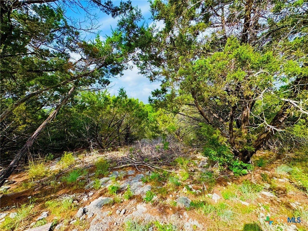 4.48 acres in Coryell County - photo 21