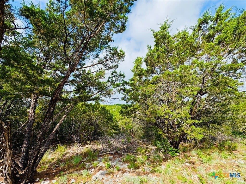 4.48 acres in Coryell County - photo 15