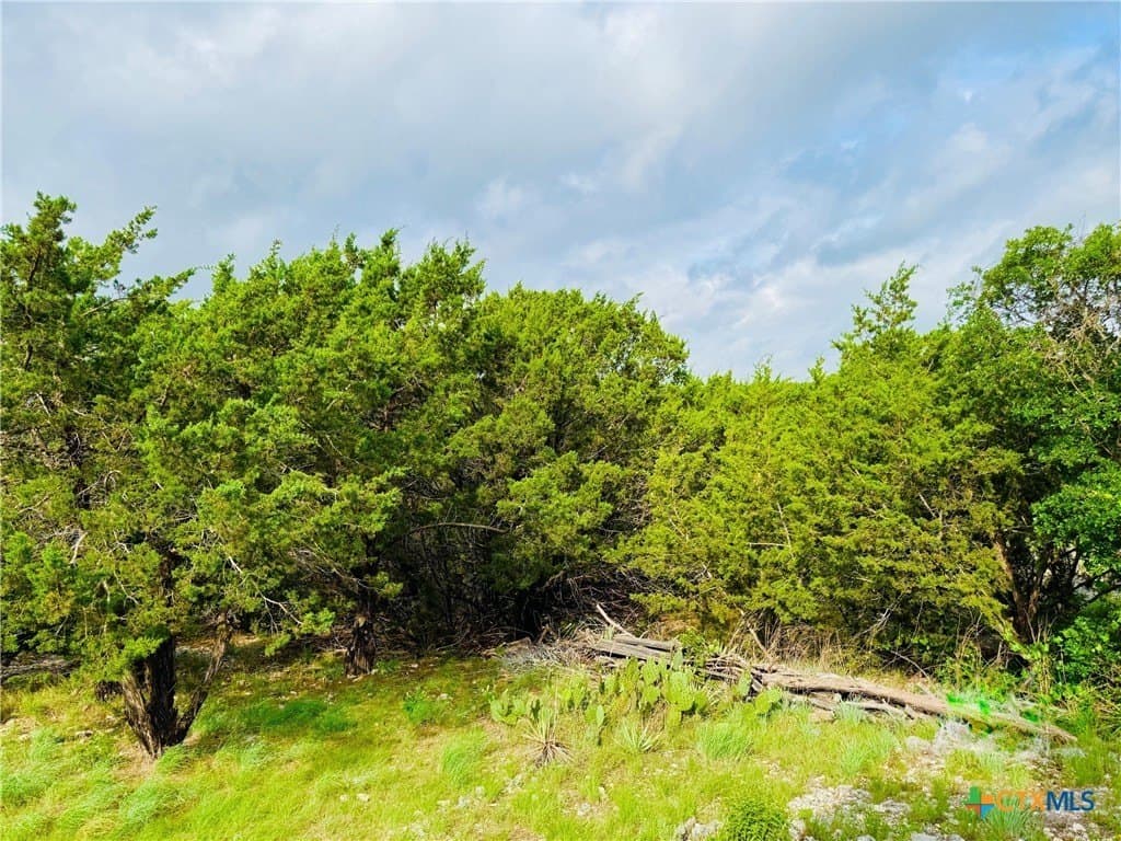 4.48 acres in Coryell County - photo 13