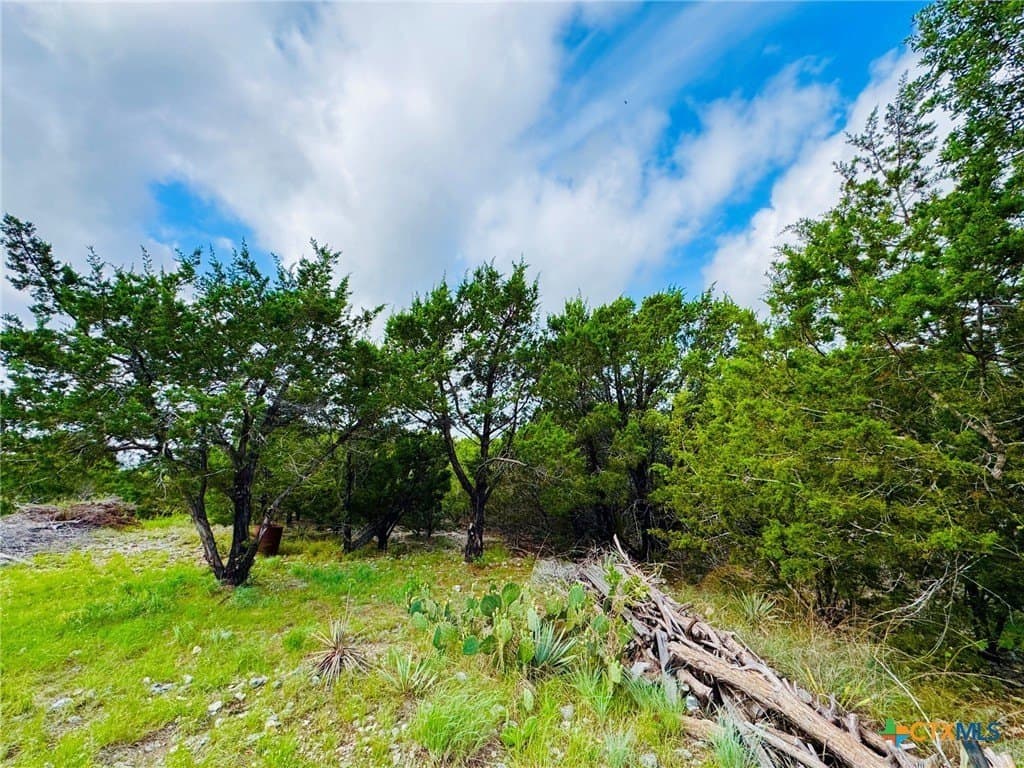 4.48 acres in Coryell County - photo 23