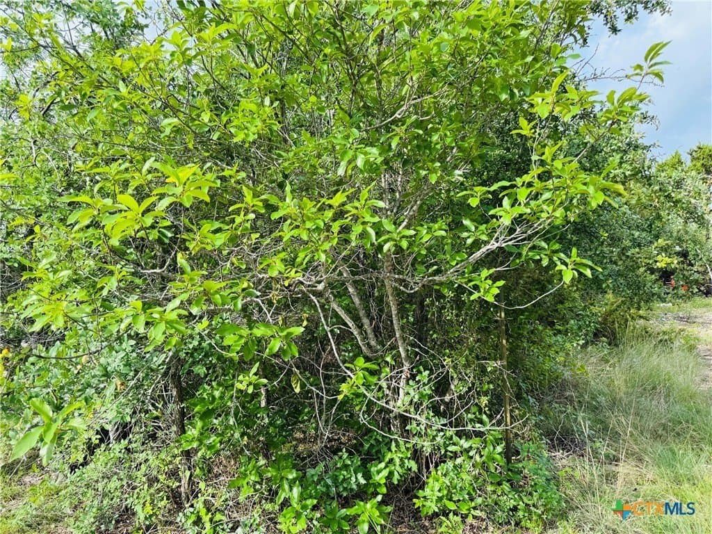 4.48 acres in Coryell County - photo 17